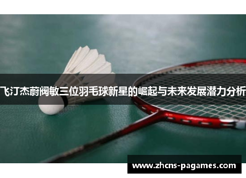 飞汀杰蔚阀敏三位羽毛球新星的崛起与未来发展潜力分析